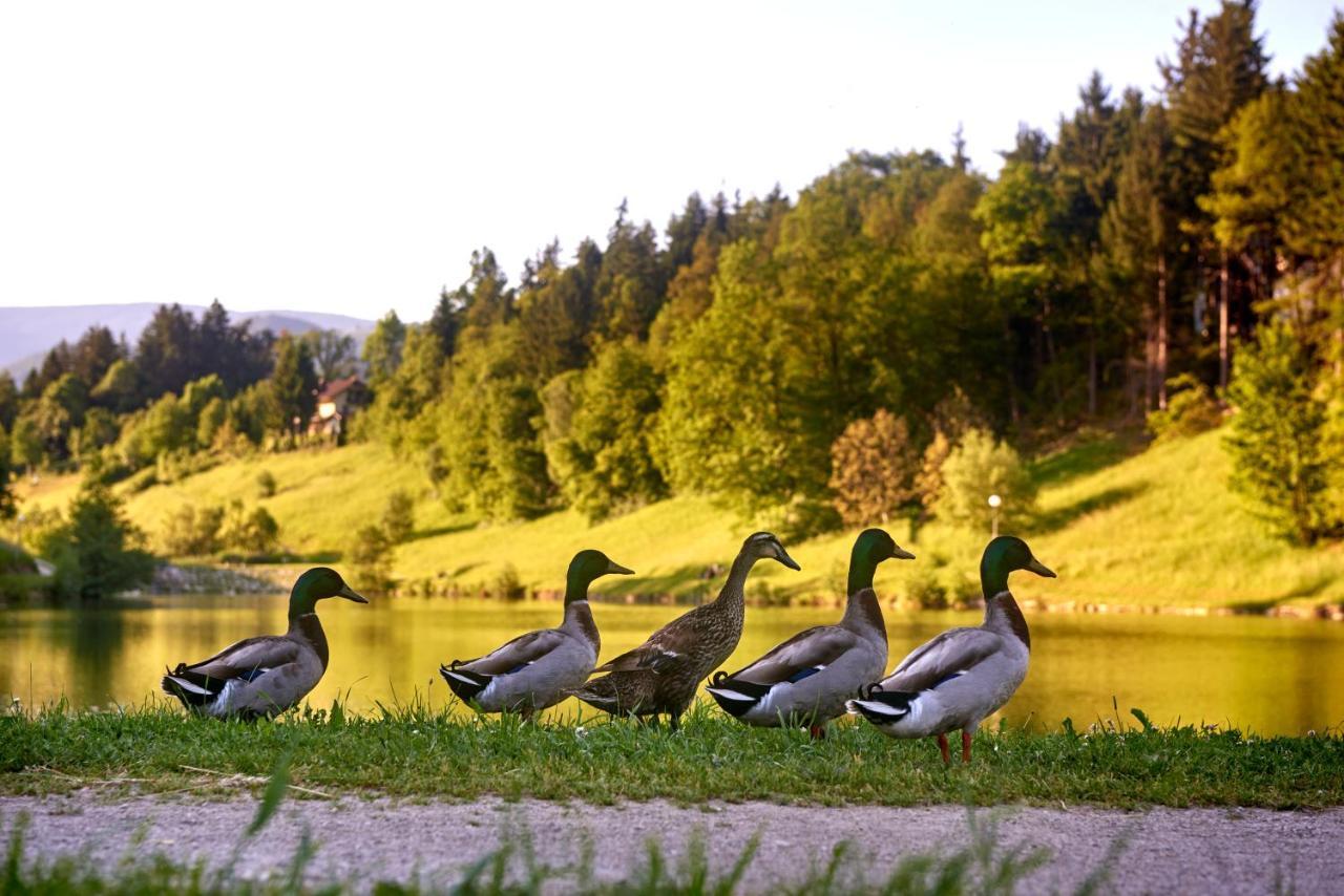 Terme Zrece - Hotel Atrij Zewnętrze zdjęcie